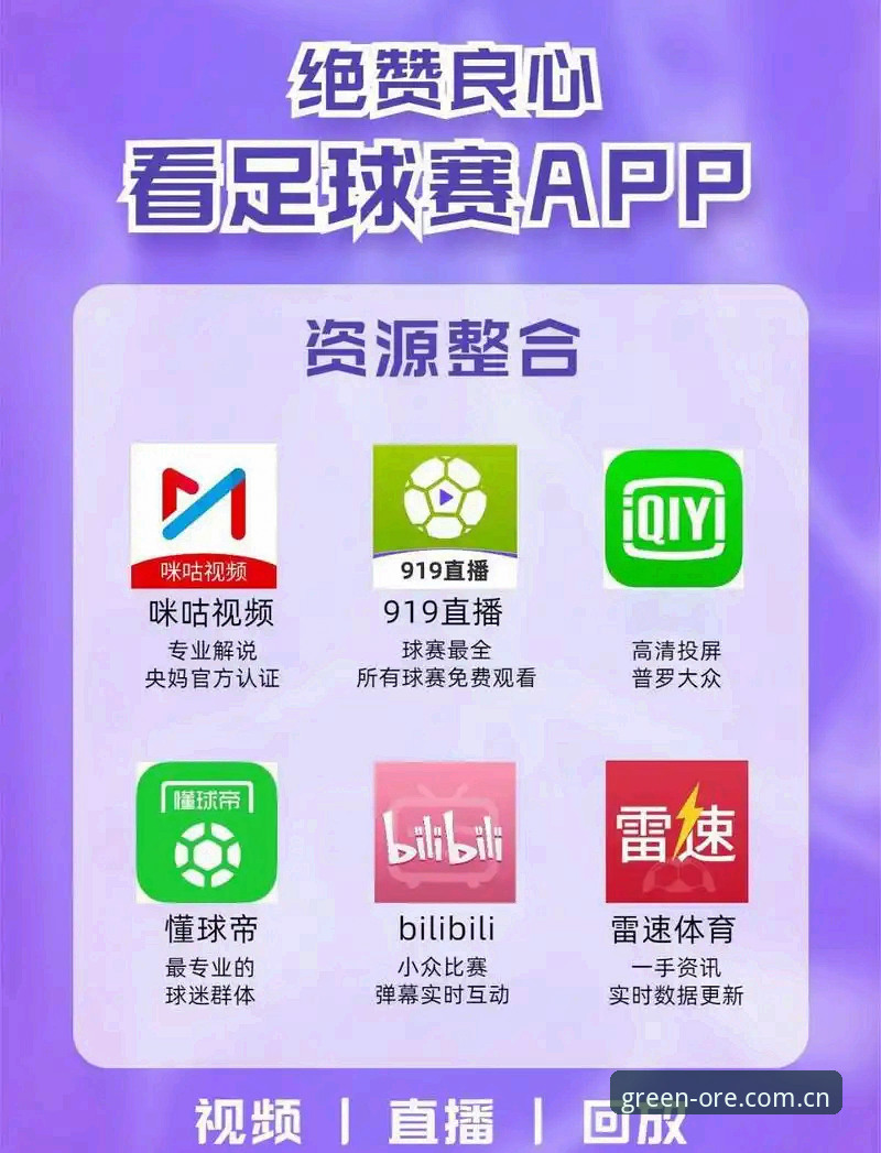 绿茵体育平台账号注册：官网VS第三方入口，哪个更适合你？